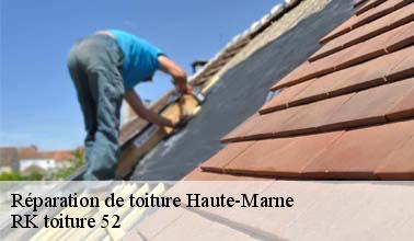 La réparation de la toiture par RK toiture 52 dans le 52 dans le Haute-Marne
