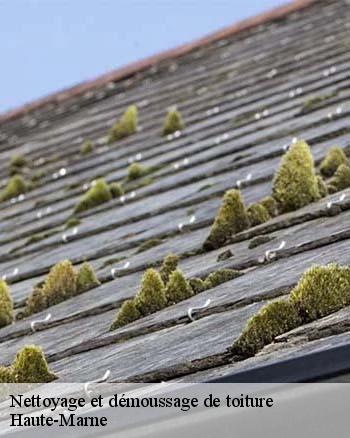 RK toiture 52 et les travaux de nettoyage des toits dans le 52 dans le Haute-Marne et les localités avoisinantes