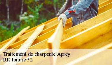 Qui peut effectuer les travaux de traitement des charpentes à Aprey dans le 52250 ?