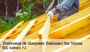 RK toiture 52 : un expert qui peut effectuer les travaux de traitement des charpentes à Balesmes Sur Marne dans le 52200