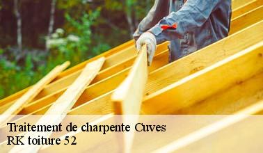 Qui peut effectuer les travaux de traitement des charpentes à Cuves dans le 52240 ?