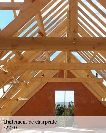 RK toiture 52 et ses compétences pour réaliser les travaux de traitement des charpentes à Percey Le Pautel dans le 52250