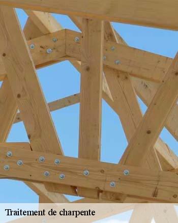 Que faut-il savoir sur les travaux de traitement des charpentes à Parnot dans le 52400 ?