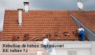 RK toiture 52 : le couvreur qui peut réaliser les travaux de réfection de la toiture à Sapignicourt dans le 52100 et ses environs