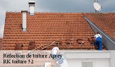 Les travaux de réfection de la toiture d'un immeuble à Aprey dans le 52250