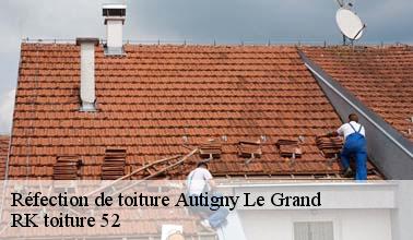 Qui peut effectuer les travaux de réfection des toits des maisons à Autigny Le Grand dans le 52300?
