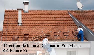 Tous les renseignements à savoir sur les réfections des toits à Dammartin Sur Meuse dans le 52140 et ses environs