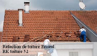 Les travaux de réfection de la toiture à Eriseul dans le 52210