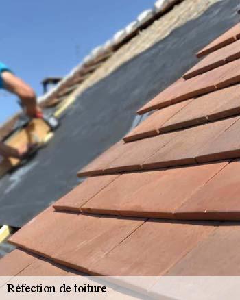 Les travaux de réfection de la toiture d'un immeuble à Saint Martin Les Langres dans le 52200