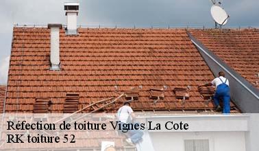 Qui peut effectuer les travaux de réfection des toits des maisons à Vignes La Cote dans le 52700?