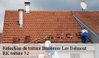 Tous les renseignements à savoir sur les réfections des toits à Bussieres Les Belmont dans le 52500 et ses environs