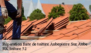 Les renseignements pratiques à savoir sur les travaux de réparation des fuites sur les toits des maisons à Aubepierre Sur Aube dans le 52210
