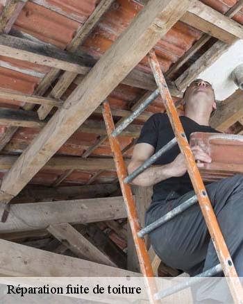 Qui peut effectuer les travaux de réparation des fuites sur les toits des maisons à Autigny Le Grand dans le 52300?