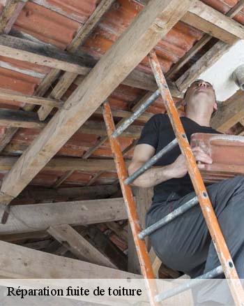 Les réparations pour les infiltrations et les fuites d'eau de pluie sur le toit de la maison à Bannes dans le 52360