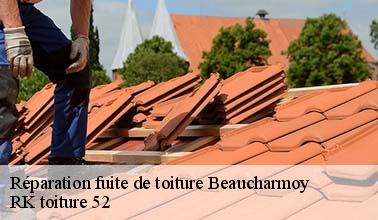 L'intervention de RK toiture 52 pour effectuer les travaux de réparation des fuites sur le toit à Beaucharmoy dans le 52400