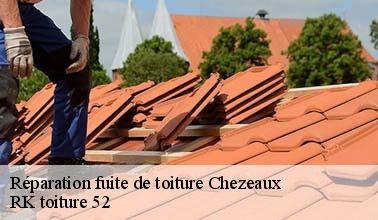 Les réparations pour les infiltrations et les fuites d'eau de pluie sur le toit de la maison à Chezeaux dans le 52400