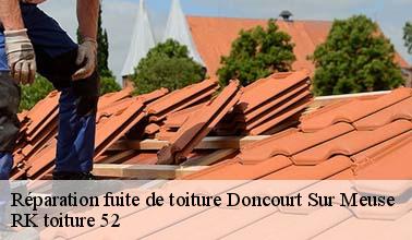 L'intervention de RK toiture 52 pour effectuer les travaux de réparation des fuites sur le toit à Doncourt Sur Meuse dans le 52150