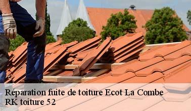Qui peut effectuer les travaux de réparation des fuites sur les toits des maisons à Ecot La Combe dans le 52700?