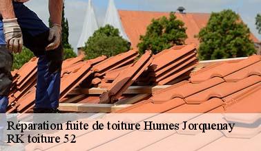 Les réparations pour les infiltrations et les fuites d'eau de pluie sur le toit de la maison à Humes Jorquenay dans le 52200