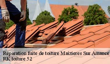 Les réparations pour les infiltrations et les fuites d'eau de pluie sur le toit de la maison à Maizieres Sur Amance dans le 52500