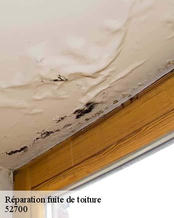 Les réparations pour les infiltrations et les fuites d'eau de pluie sur le toit de la maison à Prez Sous Lafauche dans le 52700