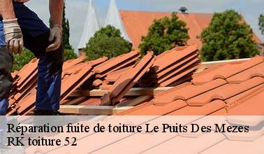 À qui peut-on faire confiance pour effectuer les travaux de réparation des fuites sur les toits à Le Puits Des Mezes dans le 52340 ?