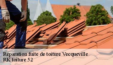 La réparation des fuites pour les toits : un des domaines de compétences de RK toiture 52 à Vecqueville dans le 52300