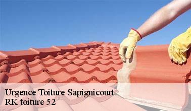 RK toiture 52 : un artisan qui peut s'occuper des problèmes à régler d'urgence pour les fuites de toit à Sapignicourt dans le 52100