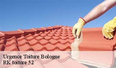 RK toiture 52 : un artisan qui peut s'occuper des problèmes à régler d'urgence pour les fuites de toit à Bologne dans le 52310