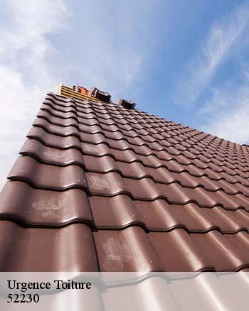 RK toiture 52 : un artisan qui peut s'occuper des problèmes à régler d'urgence pour les fuites de toit à Brouthieres dans le 52230