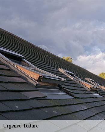 Les compétences de RK toiture 52 pour effectuer les travaux d'urgence de fuites de toit à Choilley Dardenay dans le 52190