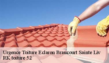 Les aptitudes de RK toiture 52 pour effectuer les travaux d'urgence pour les fuites de toit à Eclaron Braucourt Sainte Liv dans le 52290