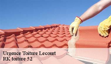 Ce qu'il faut savoir sur les travaux d'urgence pour les fuites de toit à Lecourt dans le 52140