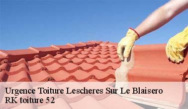 Qui peut procéder au bâchage des toits à Lescheres Sur Le Blaisero dans le 52110 ?