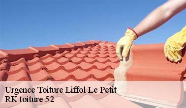 Les compétences de RK toiture 52 pour effectuer les travaux d'urgence de fuites de toit à Liffol Le Petit dans le 52700
