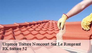 RK toiture 52 : un expert qui peut procéder à des travaux d'urgence pour les fuites de toit à Noncourt Sur Le Rongeant dans le 52230