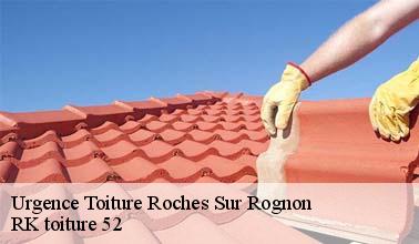 RK toiture 52 : un couvreur professionnel qui effectue les travaux de mise en place des bâches à Roches Sur Rognon dans le 52270