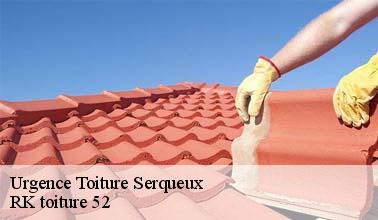 Que faut-il savoir sur les travaux d'urgence pour les fuites de toit à Serqueux dans le 52400 ?