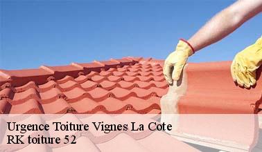 RK toiture 52 : un artisan qui peut s'occuper des problèmes à régler d'urgence pour les fuites de toit à Vignes La Cote dans le 52700