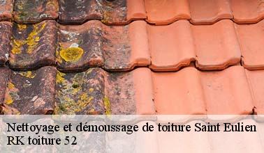Le démoussage des toits : une spécialité de RK toiture 52 à Saint Eulien dans le 52100 et les localités avoisinantes