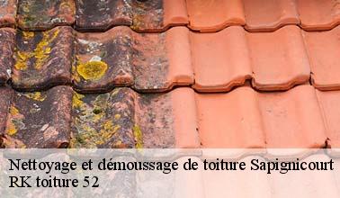 Les compétences de RK toiture 52 pour effectuer les travaux de nettoyage des toits à Sapignicourt dans le 52100