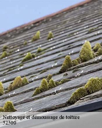 Les compétences de RK toiture 52 pour effectuer les travaux de nettoyage des toits à Arbigny Sous Varennes dans le 52500