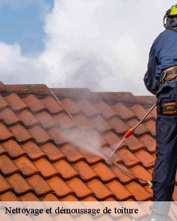Que faut-il savoir sur les travaux de nettoyage des toits des maisons à Arc En Barrois dans le 52210 et les localités avoisinantes?