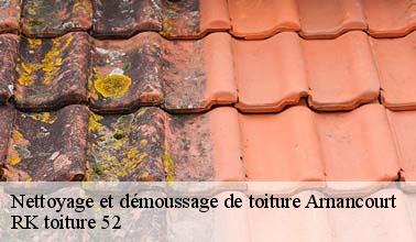 Le travail de démoussage des toits à Arnancourt dans le 52110