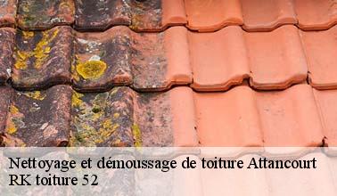 Le nettoyage des toits par RK toiture 52 à Attancourt dans le 52130 et ses environs