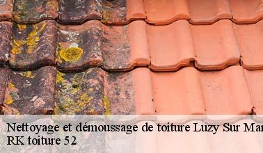 Les travaux de nettoyage des toits à Luzy Sur Marne dans le 52000