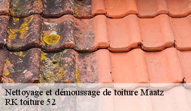 L'élimination des déchets sur les toits à Maatz dans le 52500