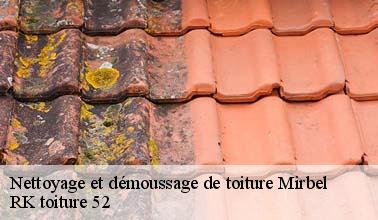 Que faut-il savoir sur les travaux de nettoyage des toits des maisons à Mirbel dans le 52320 et les localités avoisinantes?