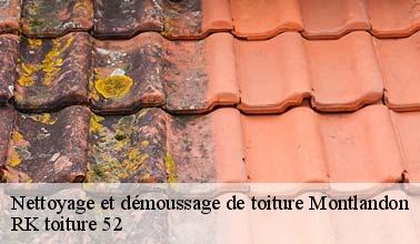 Qui peut effectuer les travaux de démoussage des tuiles à Montlandon dans le 52600 ?