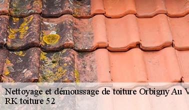 Qui peut effectuer les travaux de démoussage des tuiles à Orbigny Au Val dans le 52360 ?